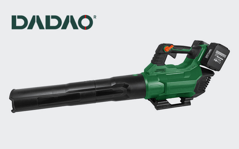 Lenica Toosl explains the application scenario of the Cordless Leaf Blower